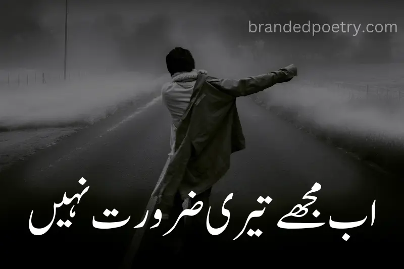 nice quote in urdu