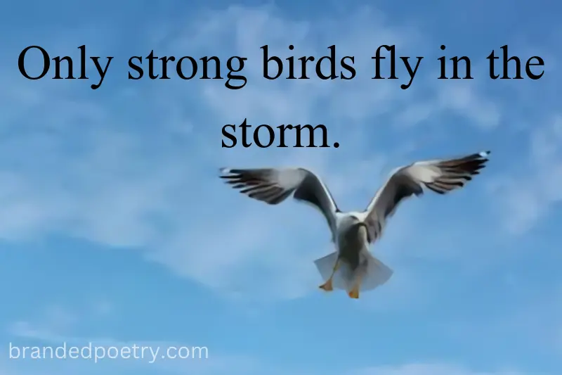 one line poem about successful flying