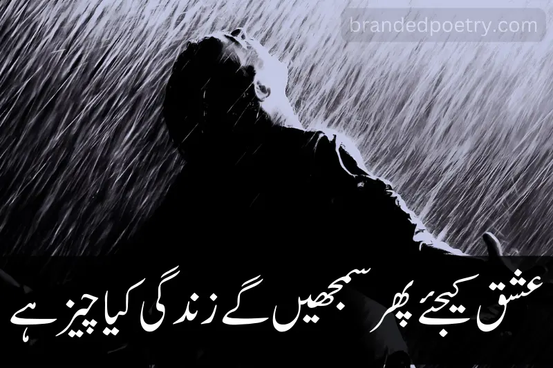 one line quote in urdu