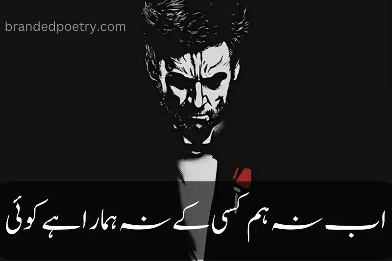 one liner attitude quote in urdu for boys
