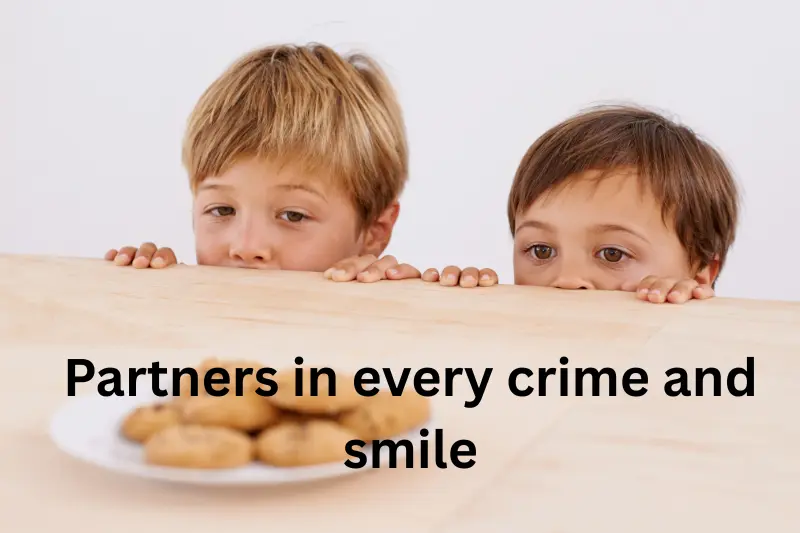 partners in every crime and smile