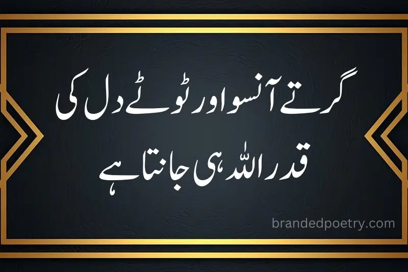 qadar poetry in urdu