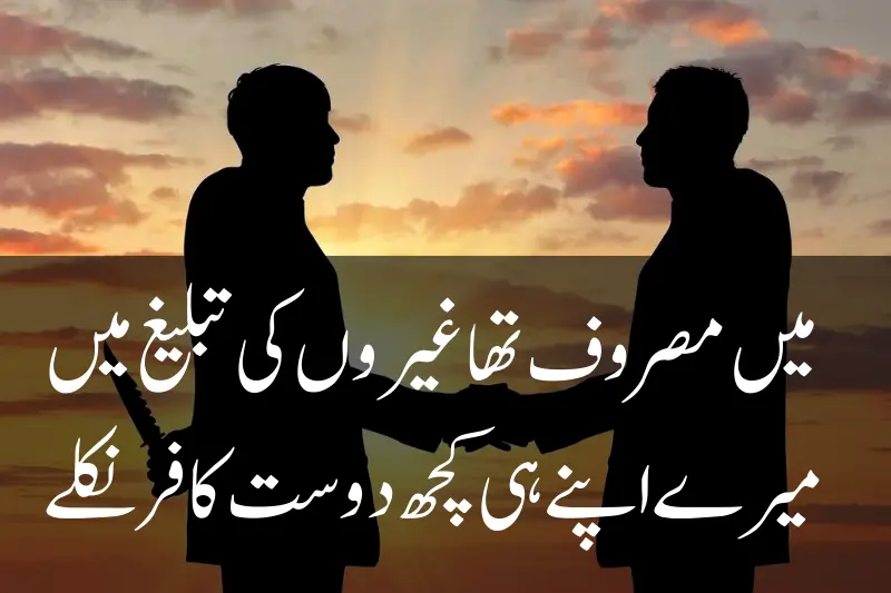 quote about fake friendship in urdu