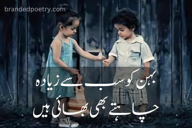 quote in urdu about sister brother love