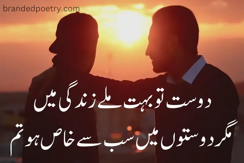 quotes about friends in urdu