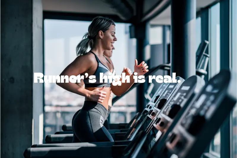 runner’s high is real