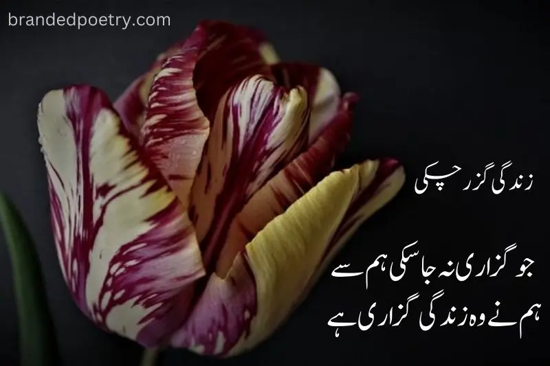sad 2 lines poetry in urdu with rose