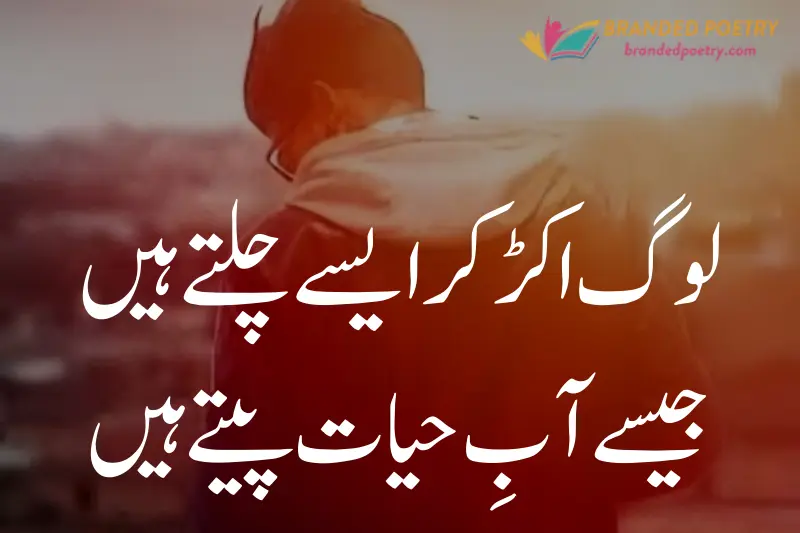 sad attitude poetry about life in urdu