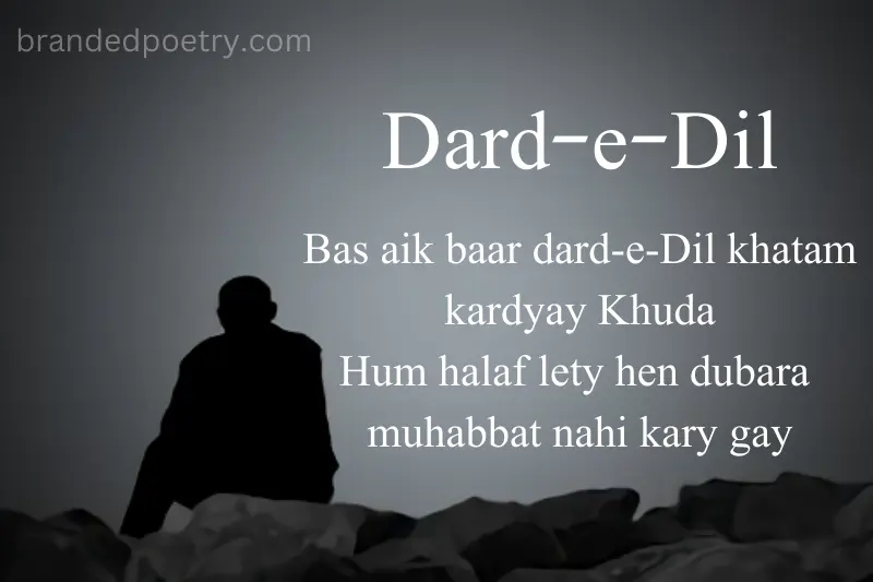 sad boy poetry in roman english for dp