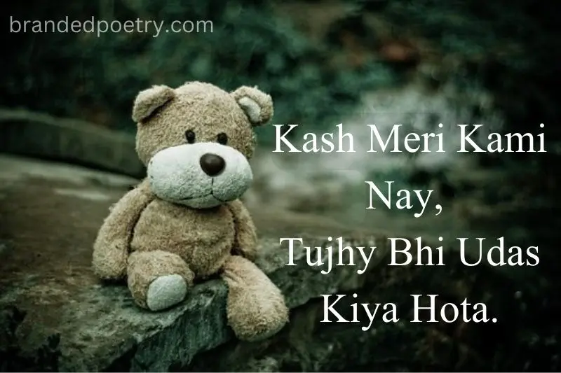 sad emotional poetry in roman english with sad bear