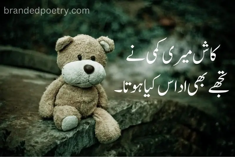 sad emotional poetry in urdu with sad bear