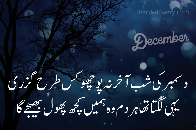 sad night december shayari in urdu