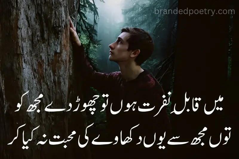 sad poetry about sad boy in urdu