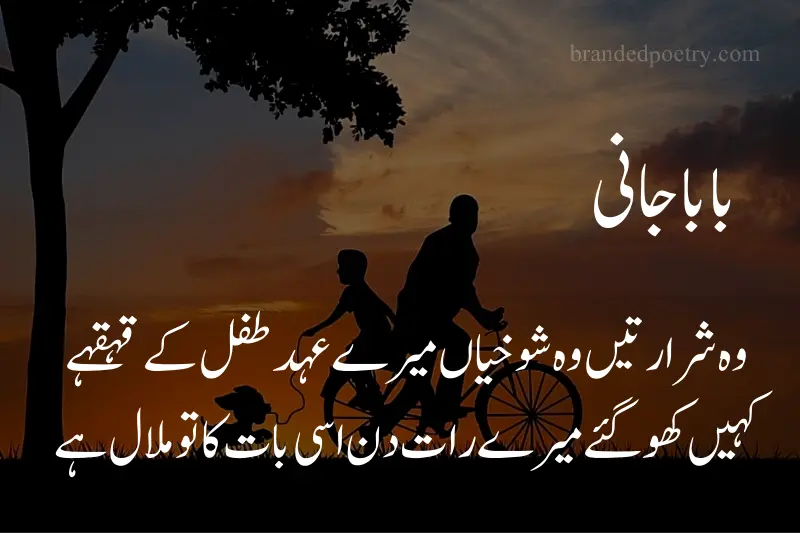 sad urdu poem about father ride cycle with son in sad evening