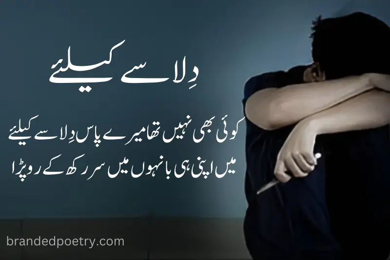 sad urdu poetry aboy sad boy life