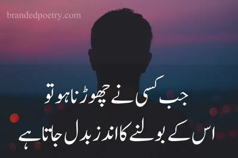 saddest life quote in urdu about sad boy