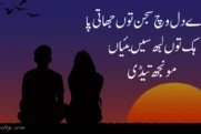 40+ Best Saraiki Poetry Lines 2024 - Shakir Shuja Abadi Poetry