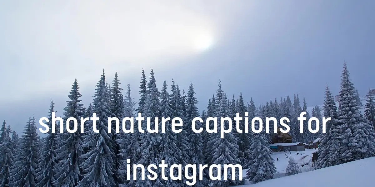 103+ Must-Use Short Nature Captions For Instagram That Inspire