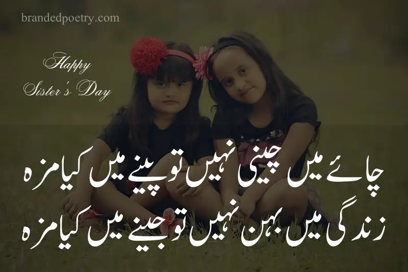 sister day poetry about cute sisters in urdu