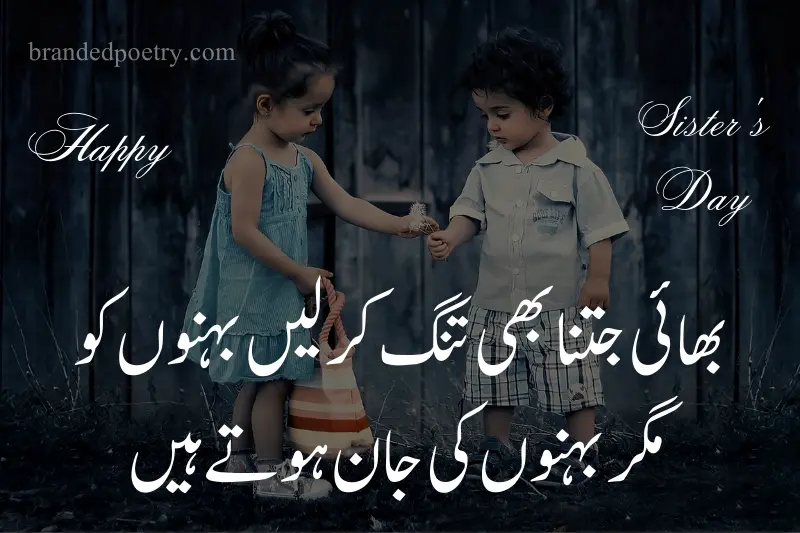 sister day quote on brother sister love in urdu