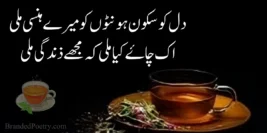30+ Best Tea Poetry & Quotes In Urdu [2023] – Best Chai Poetry