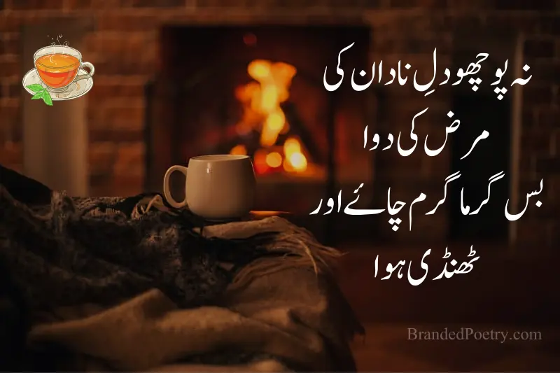 tea quote in urdu