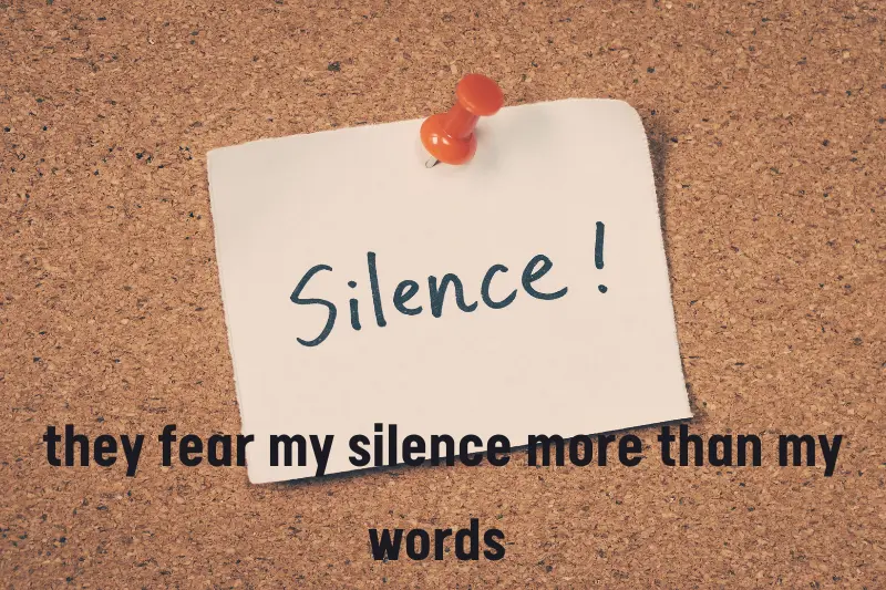 they fear my silence more than my words 
