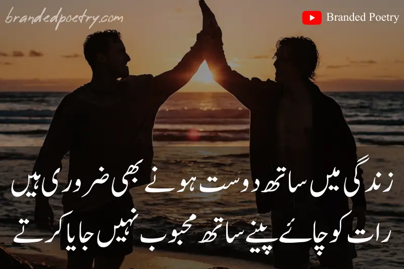 true friends happiness quote in urdu
