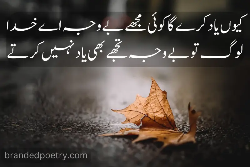 two line sad love poetry in urdu