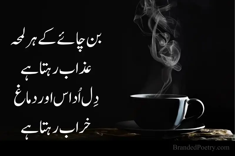 two line shayari on chai in urdu