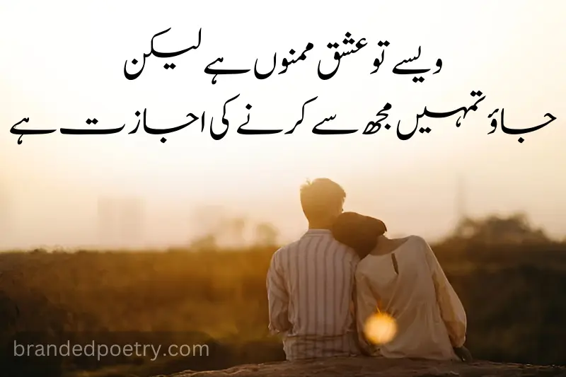 two lines poetry about happy lovers in urdu
