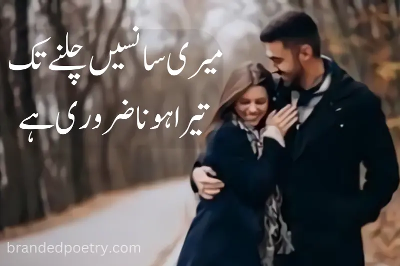 urdu love poetry about romantic lovers