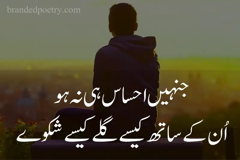 urdu quote about alone boy who sad from life
