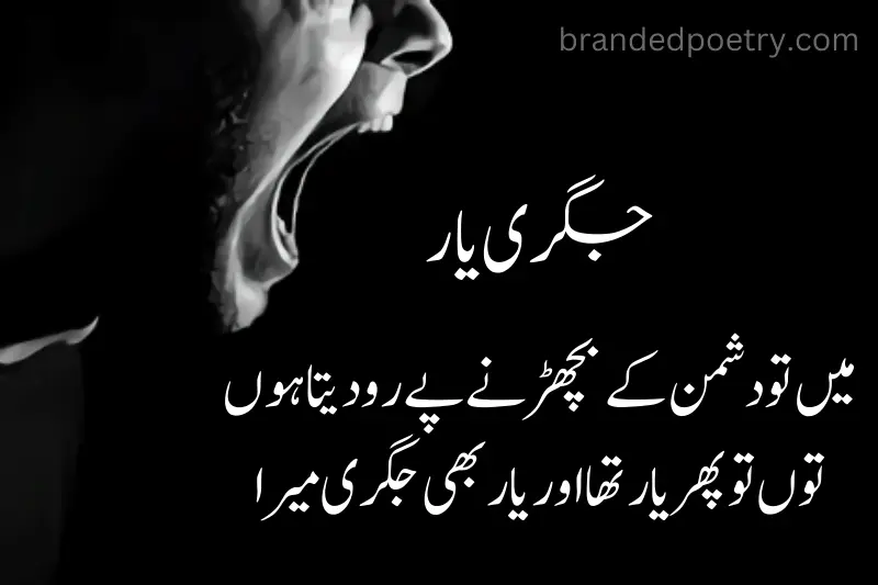 urdu quote about sad man scream about his friend