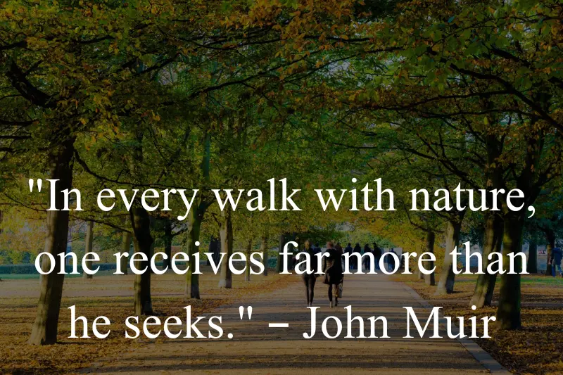 walk in park quotes 