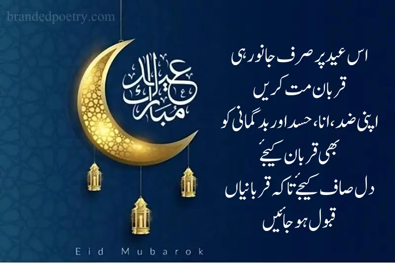 wish eid ul adha in urdu