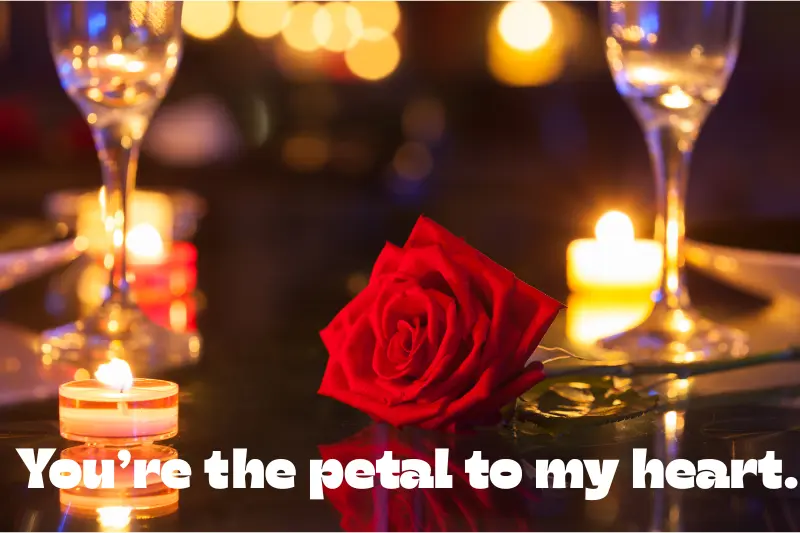 you’re the petal to my heart