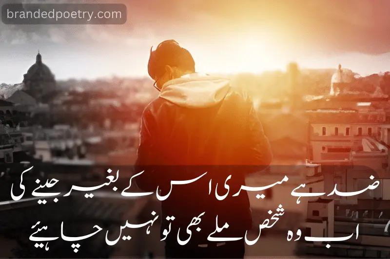 ziddi boy poetry in urdu
