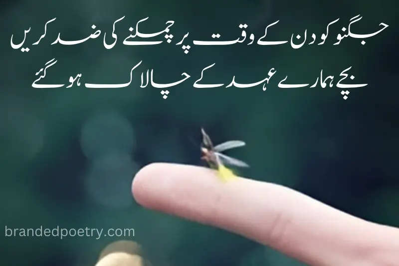 ziddi poetry in urdu